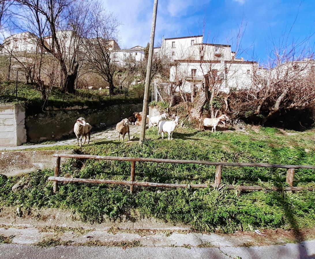 Le Origini Casa In Borgo Tipico Lucano Trivigno Εξωτερικό φωτογραφία